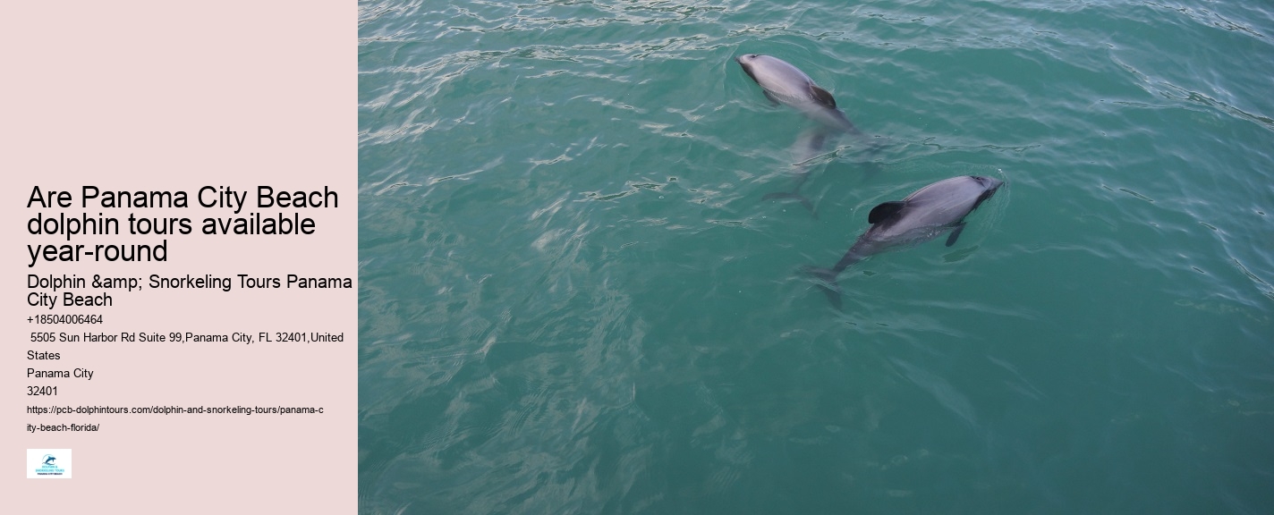 Dolphin & Snorkeling Tours Panama City Beach