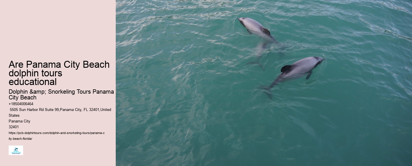 Panama City Fl Boat Tours