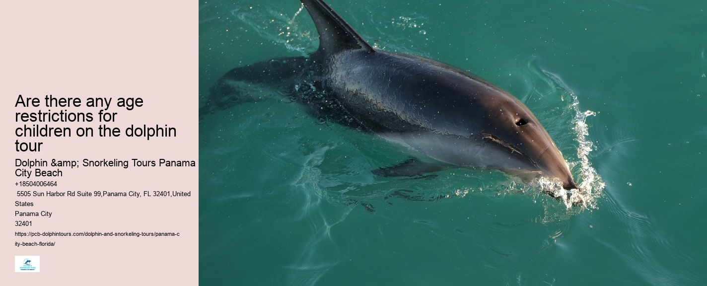 Is swimming with dolphins an additional cost on the tour