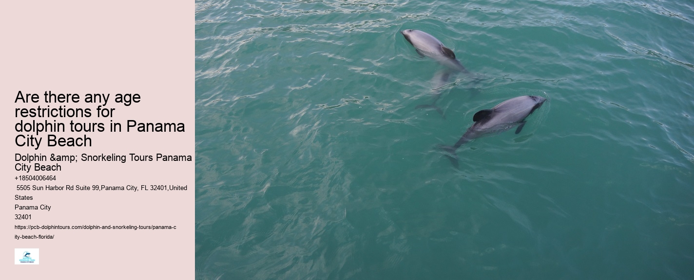 Catamaran Dolphin Tour Panama City Beach
