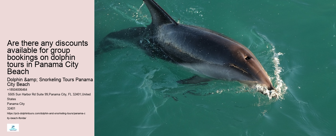 Can You Swim With Dolphins In Panama