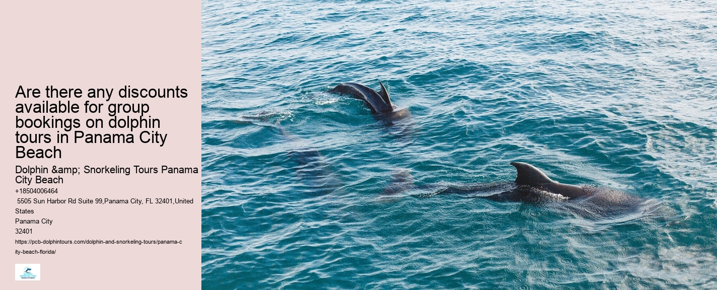 Panama City Beach Dolphin Tours & More Panama City Fl