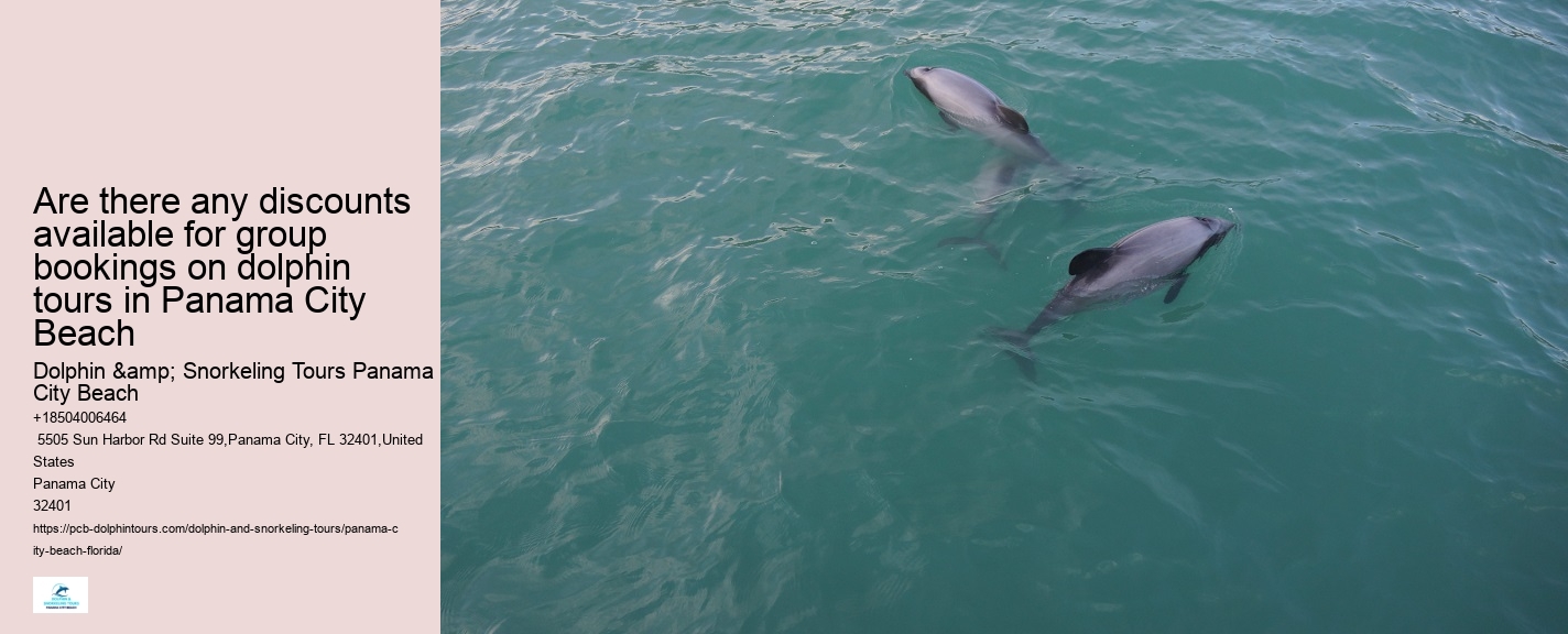 PCB Dolphin Watching Trips