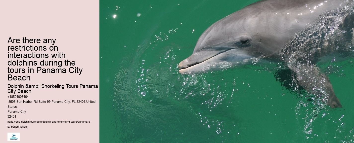 Dolphin Express
