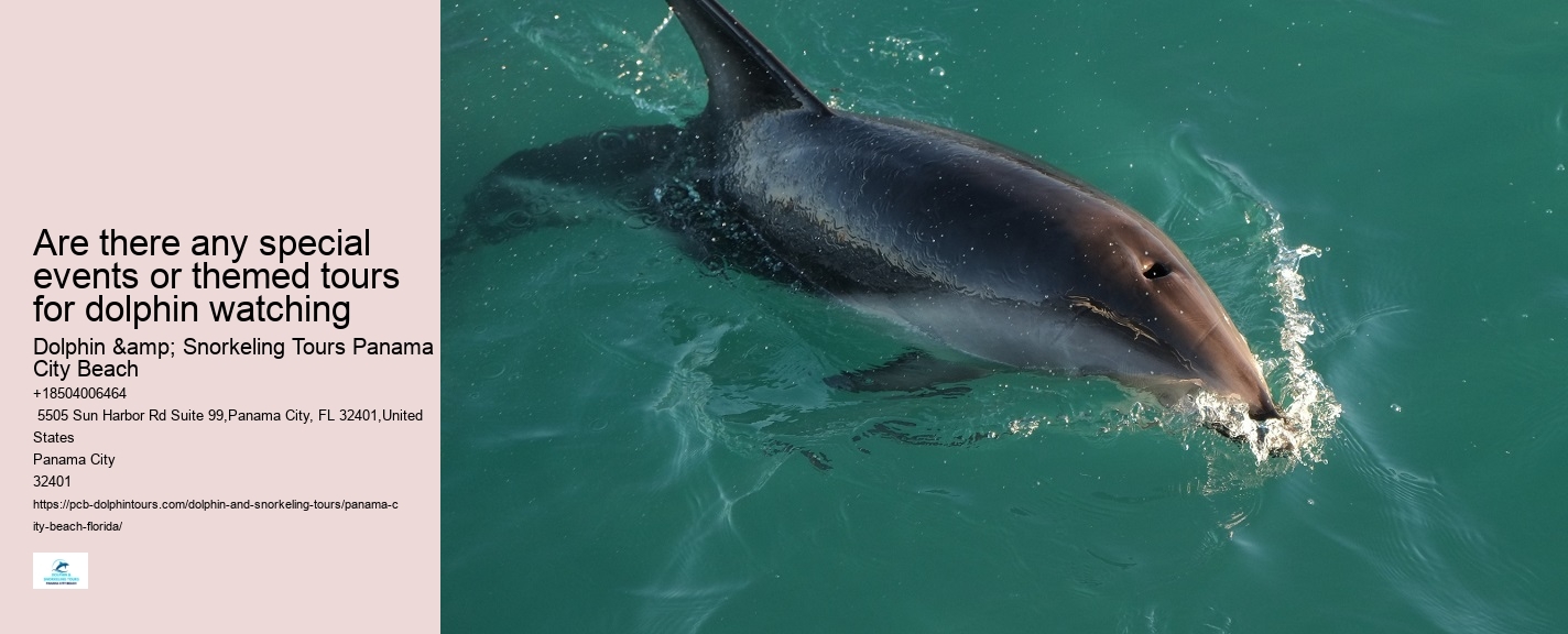 Dolphin boat tours at Panama City Beach