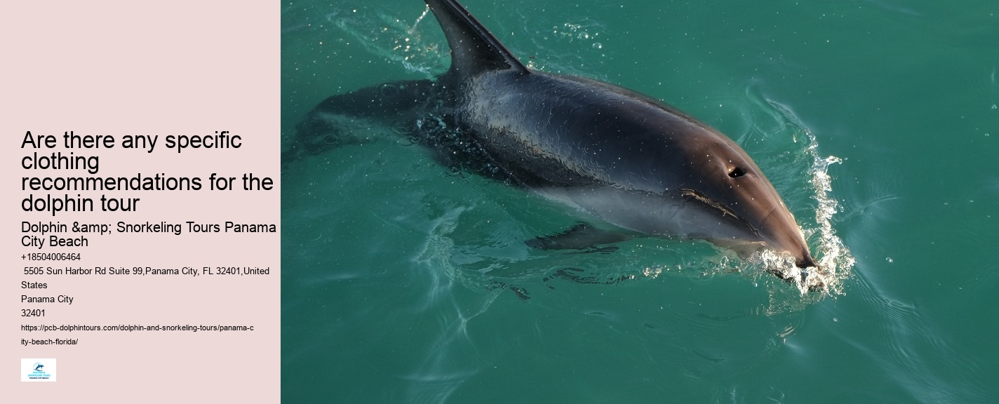 Panama City Dolphin Tours