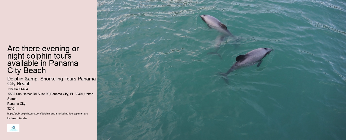 Dolphin exploration experiences in Panama City Beach