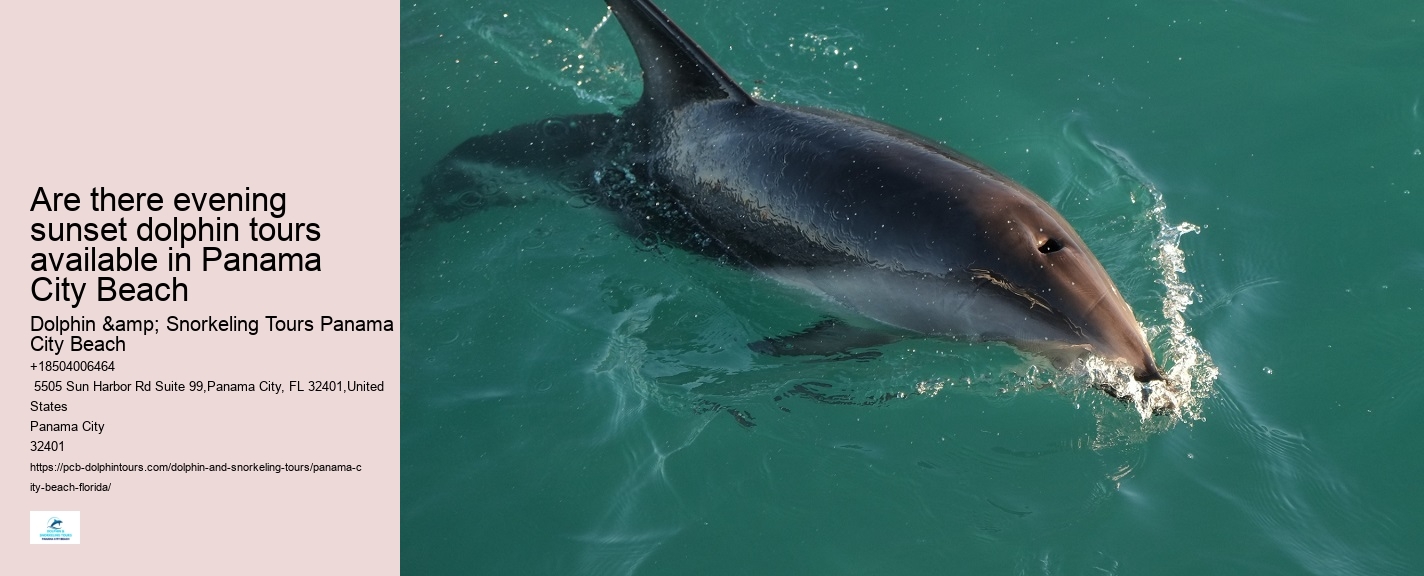 Panama City Beach Dolphin Sightseeing Trips