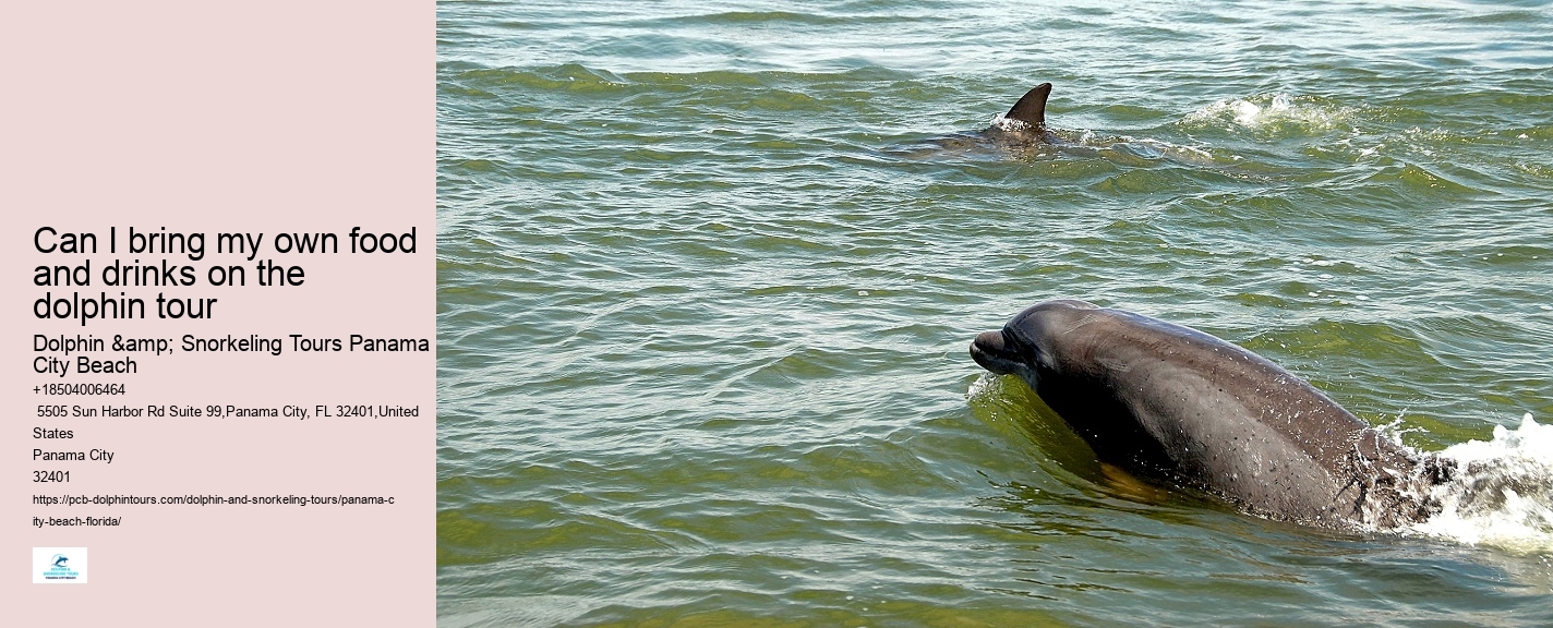 Are Panama City Beach dolphin tours available year-round