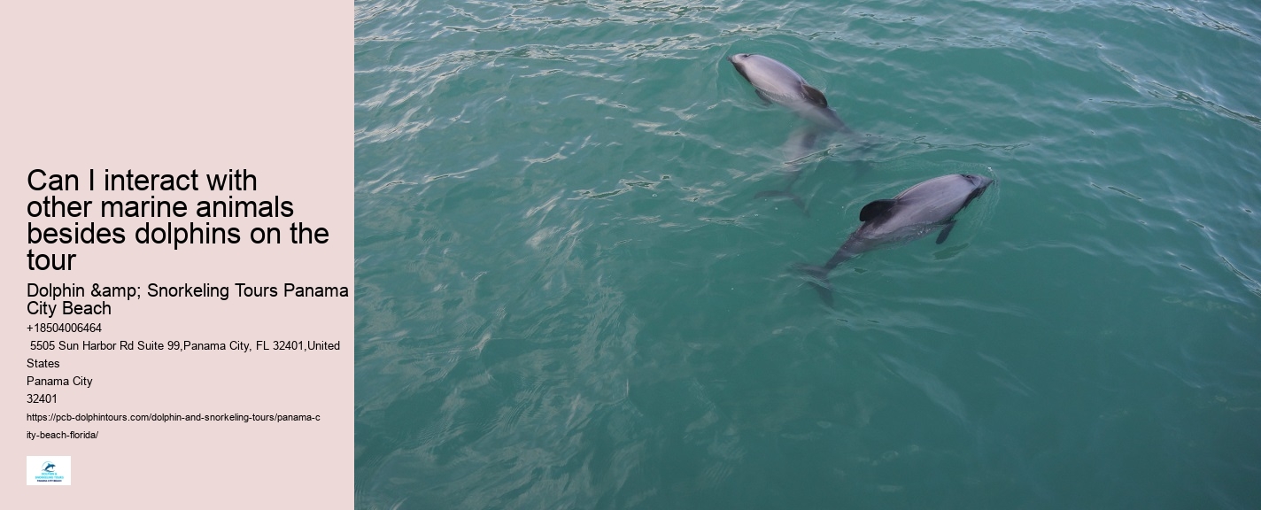 What type of dolphin species might we encounter on the tour