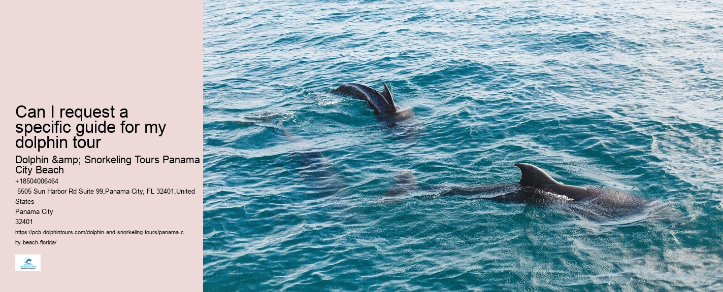 Are there evening sunset dolphin tours available in Panama City Beach