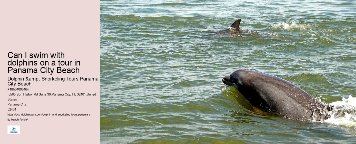 PCB Dolphin Discovery Cruises