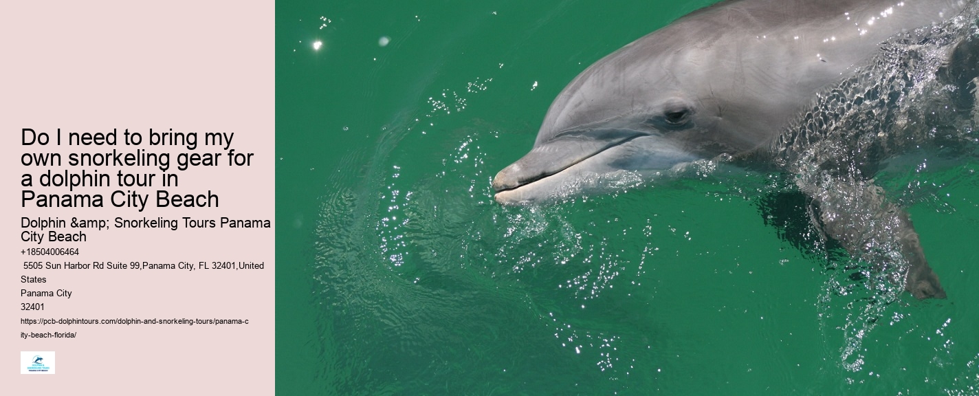 Panama City Beach Dolphin Tours Prices