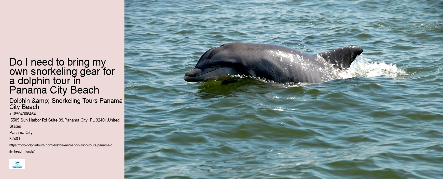 Sunset Dolphin Tours Panama City Beach