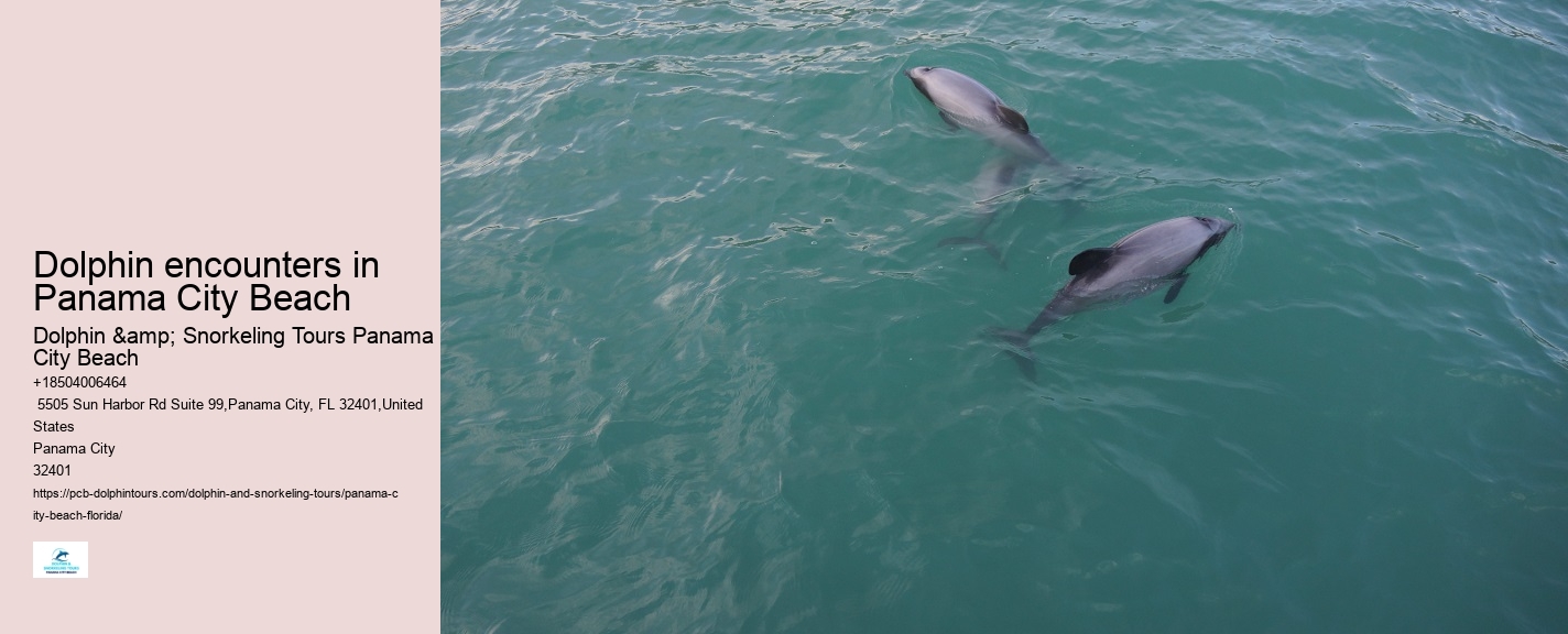 Do dolphin tours in Panama City Beach guarantee sightings