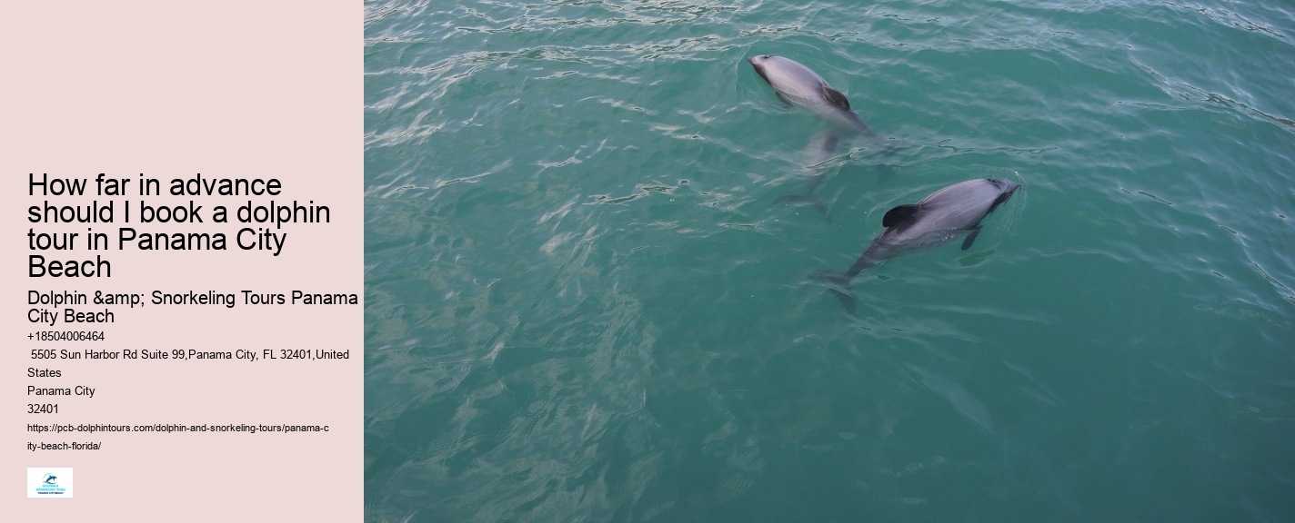 Dolphin Tours Destin