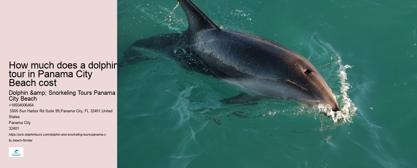 Best Sunset Dolphin Cruise Panama City Beach