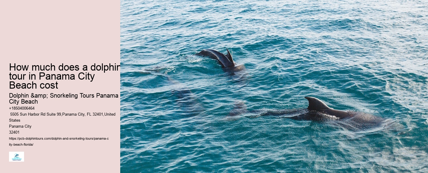 Dolphin Tours Panama City Beach Fl