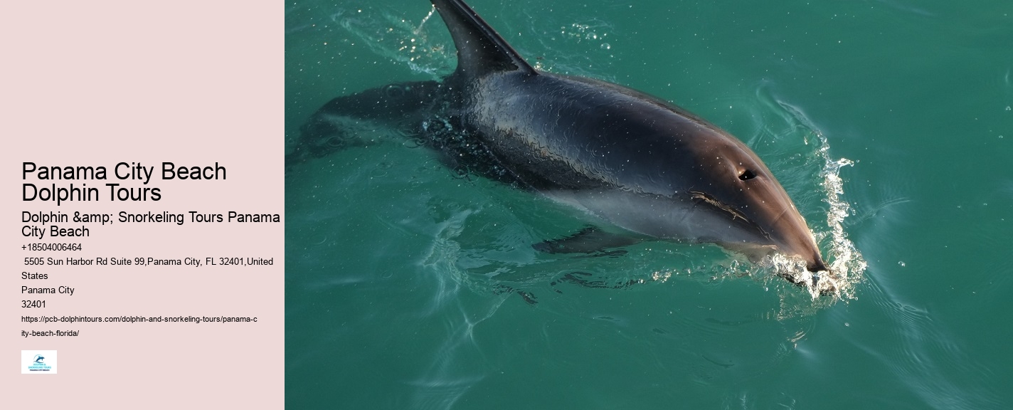 Marine mammal research