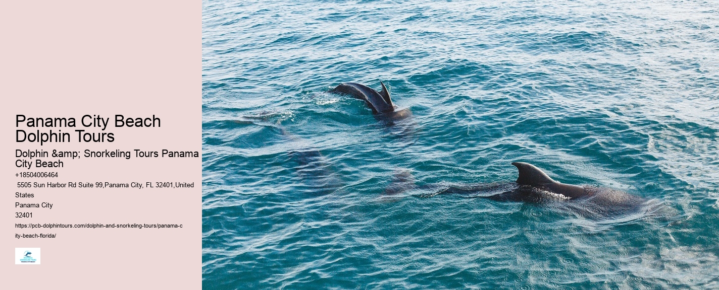 Dolphin Tours Near Me