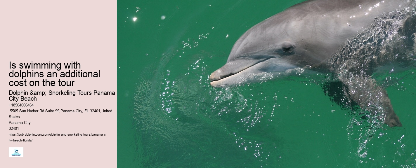 Can I bring my own food and drinks on the dolphin tour