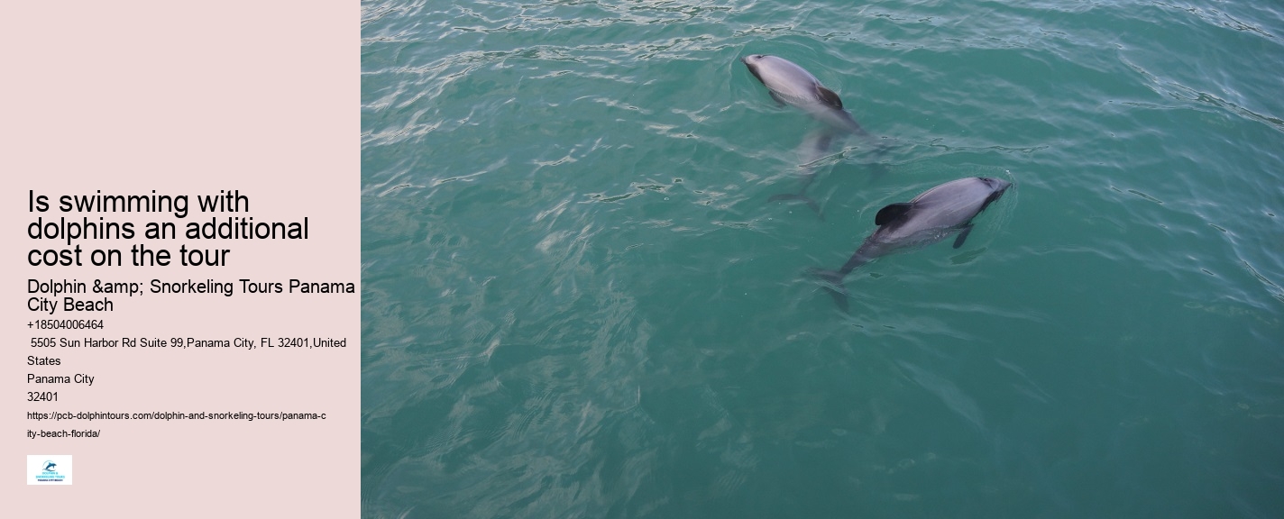 Dolphin Cruise