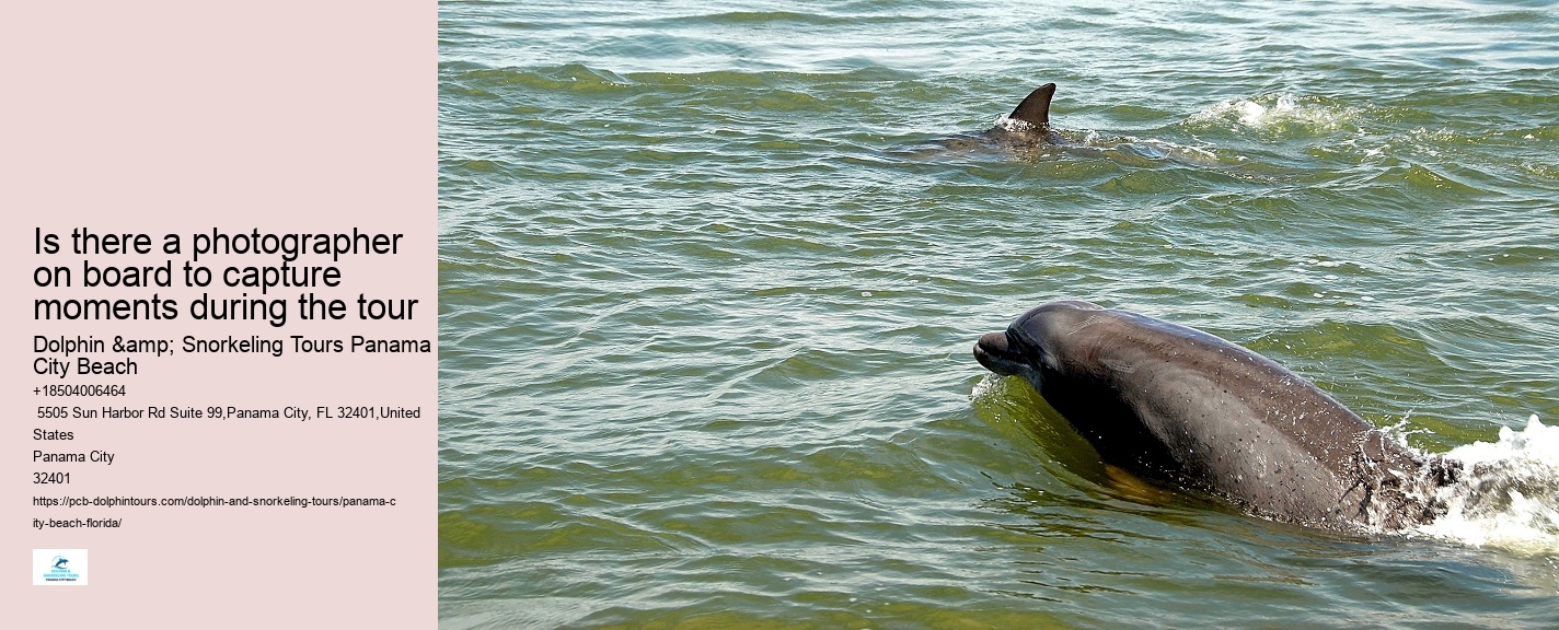 Are there any restrictions on interactions with dolphins during the tours in Panama City Beach