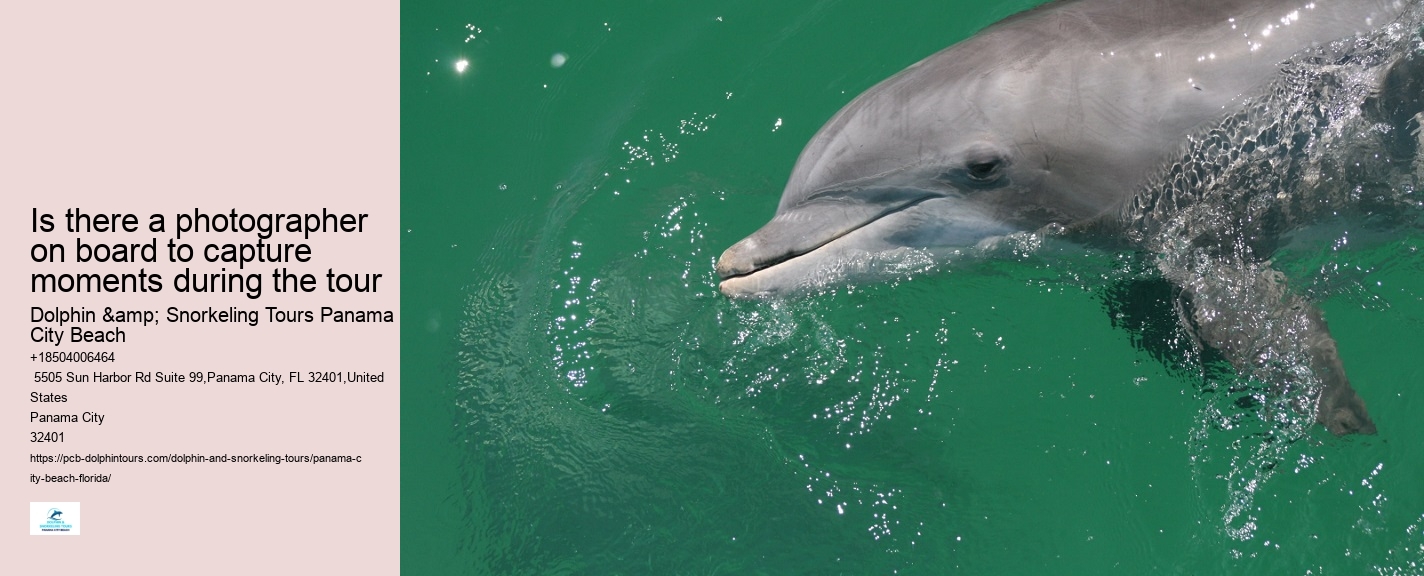 Panama City Beach dolphin adventure tours