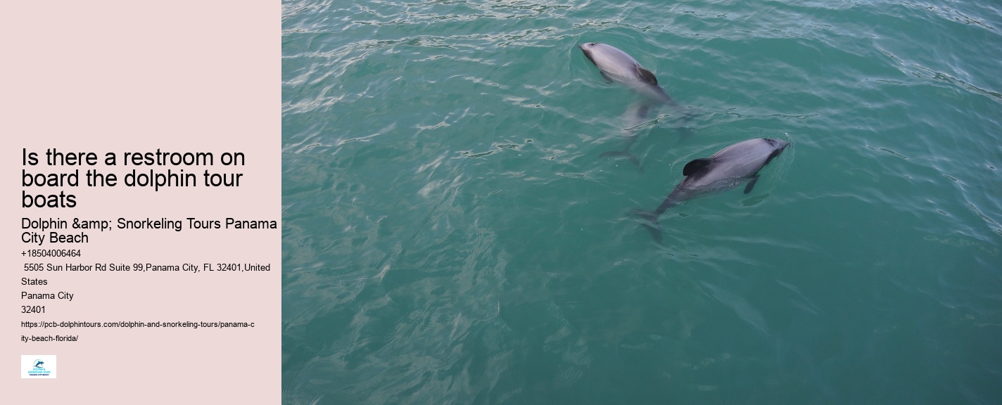 Cheap Dolphin Tours In Panama City Beach