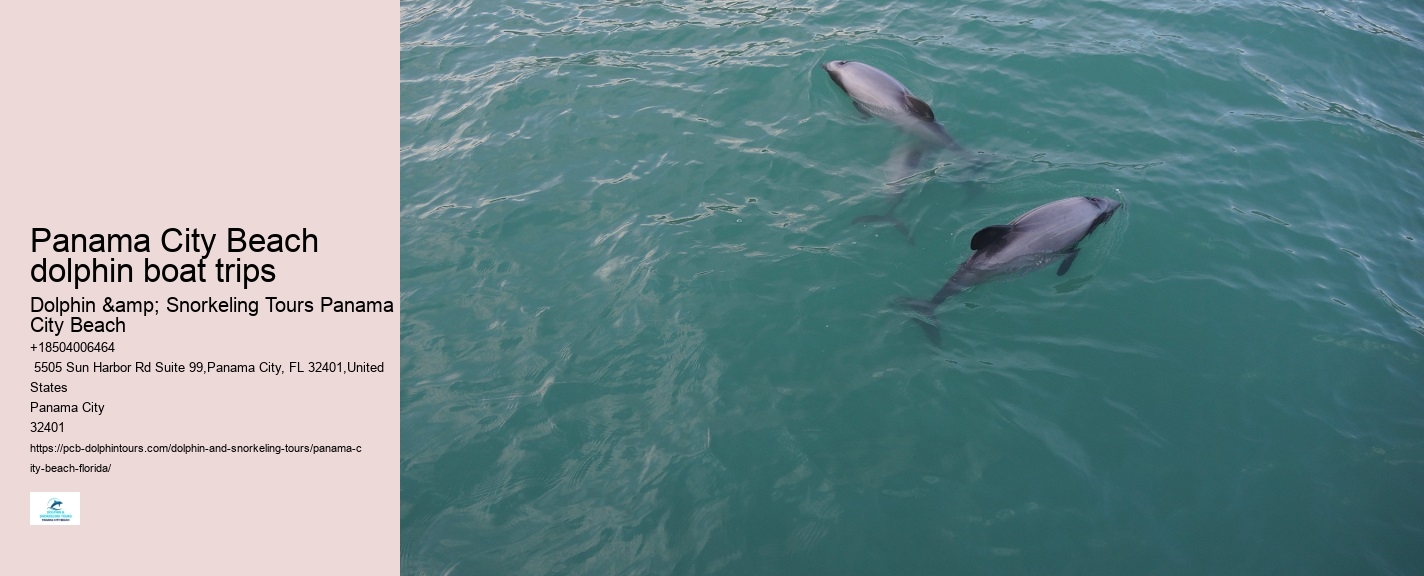 Dolphin tours in Panama City Beach