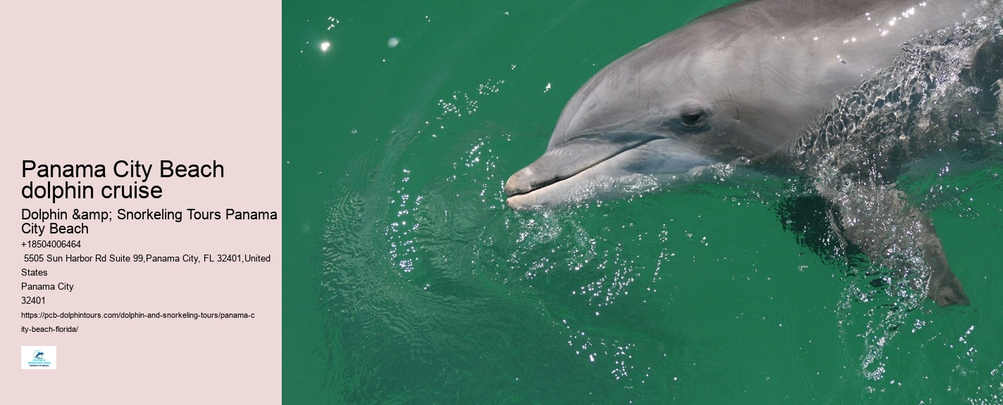 What type of dolphin species might we encounter on the tour