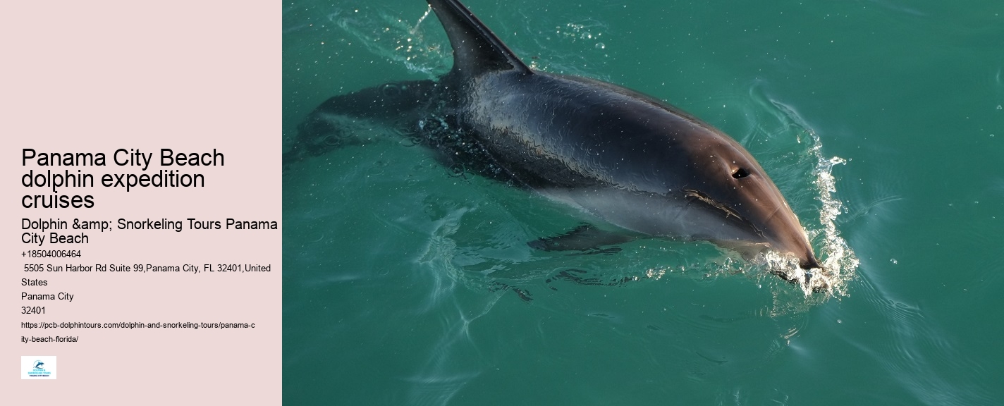 Blue Dolphin Tours Panama City Beach Fl