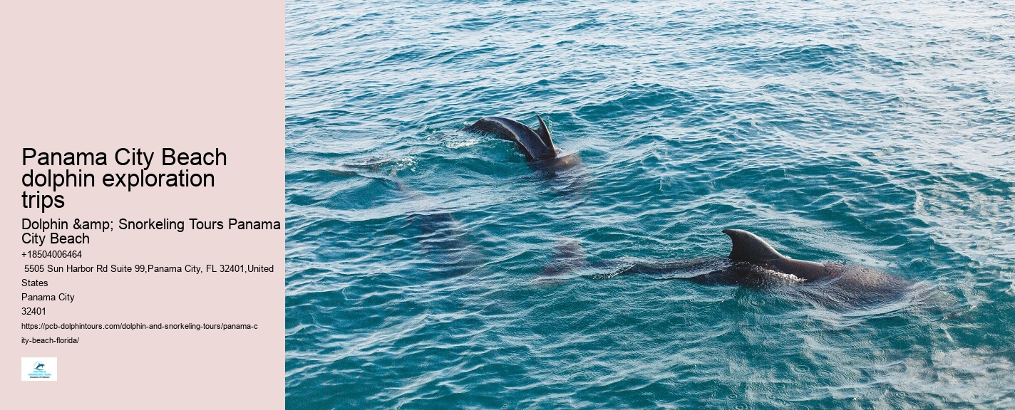 Dolphin Cruises