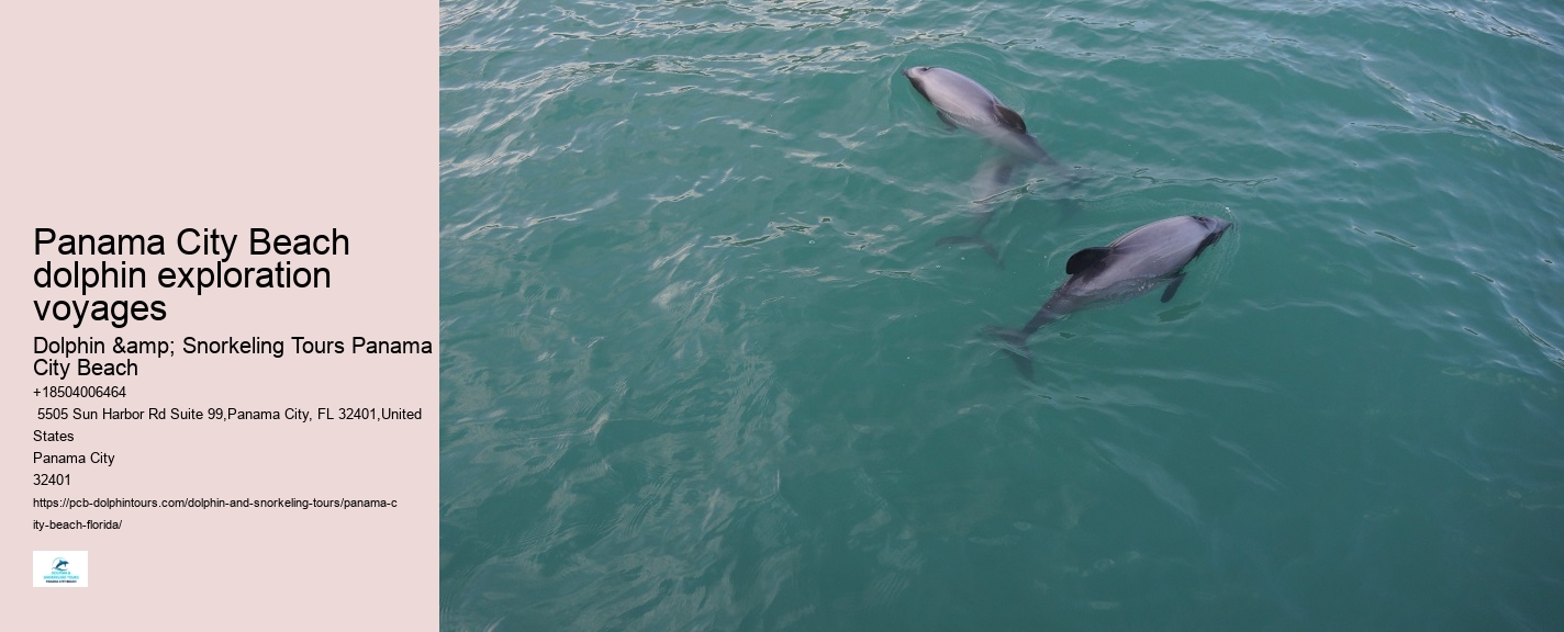 Panama City Beach dolphin expedition cruises
