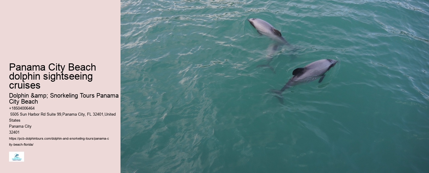 Panama City Beach dolphin watching excursions