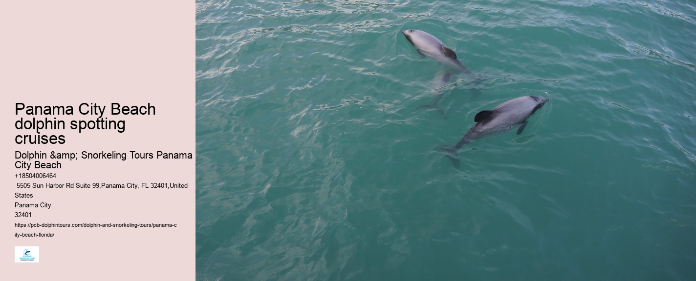 How close do the dolphin boats get to the dolphins in Panama City Beach