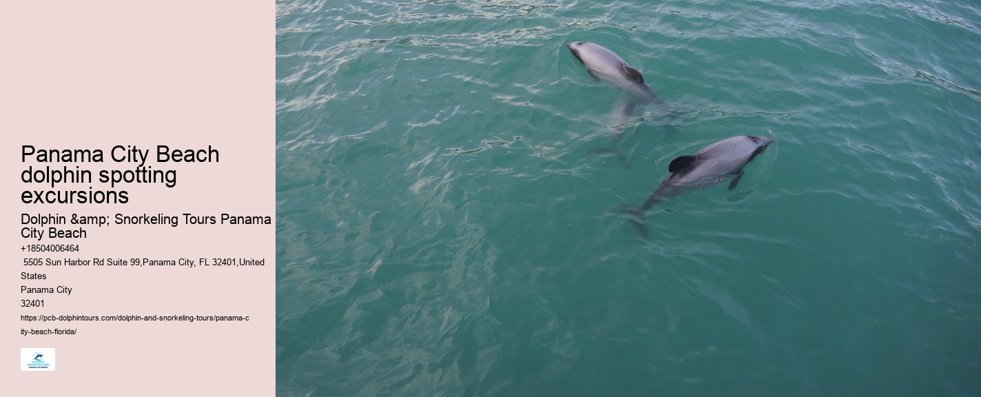 Panama City Beach dolphin boat excursions
