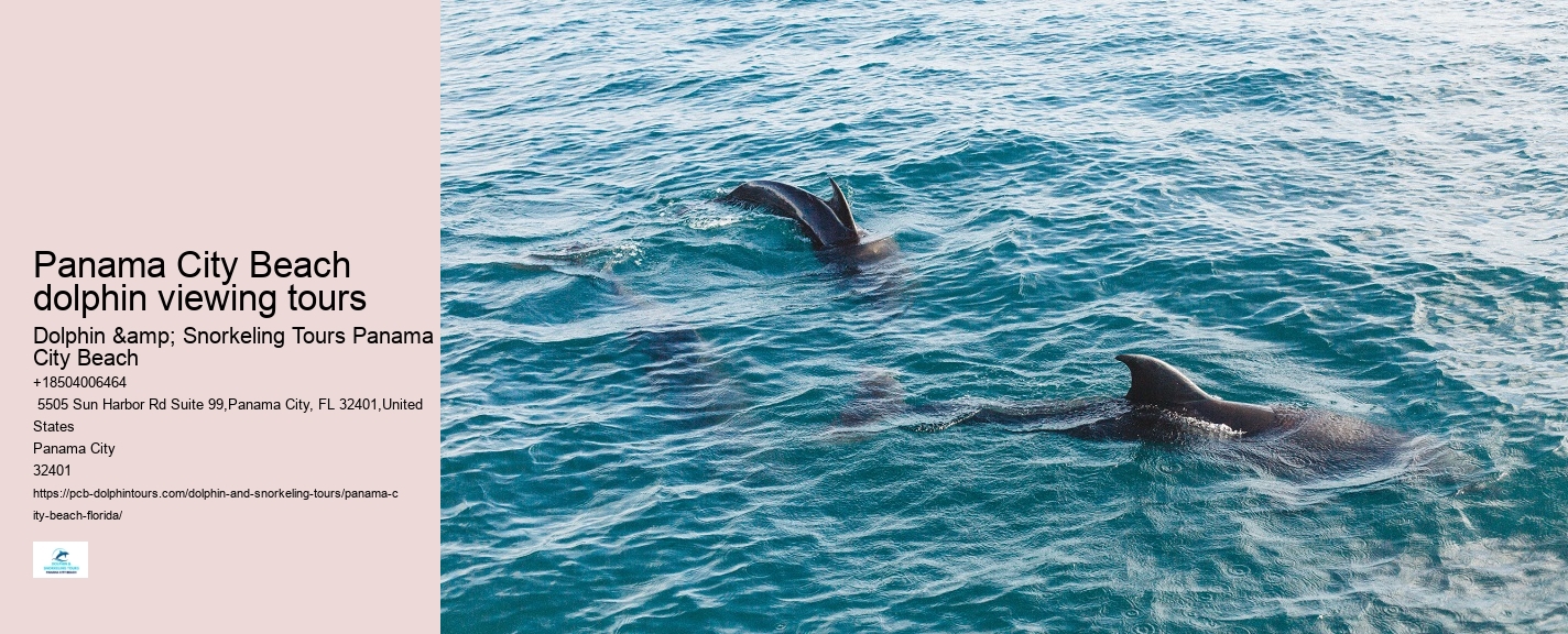 Panama City Beach dolphin adventure tours