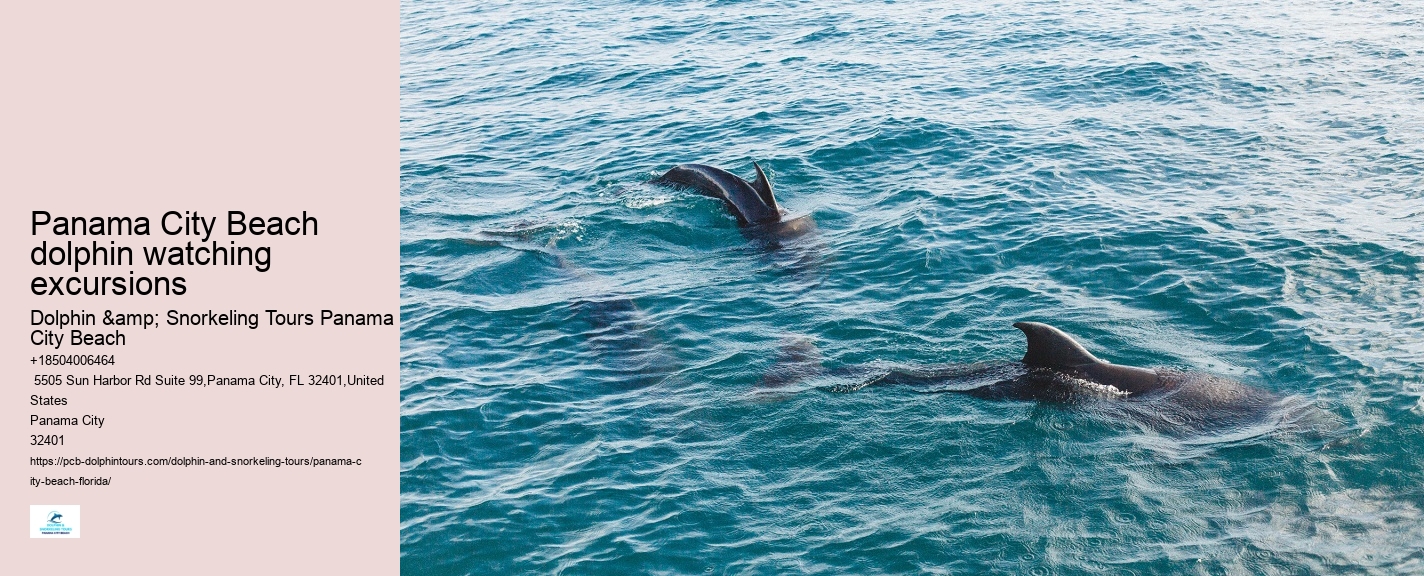 What Should I Bring To Dolphin Cove