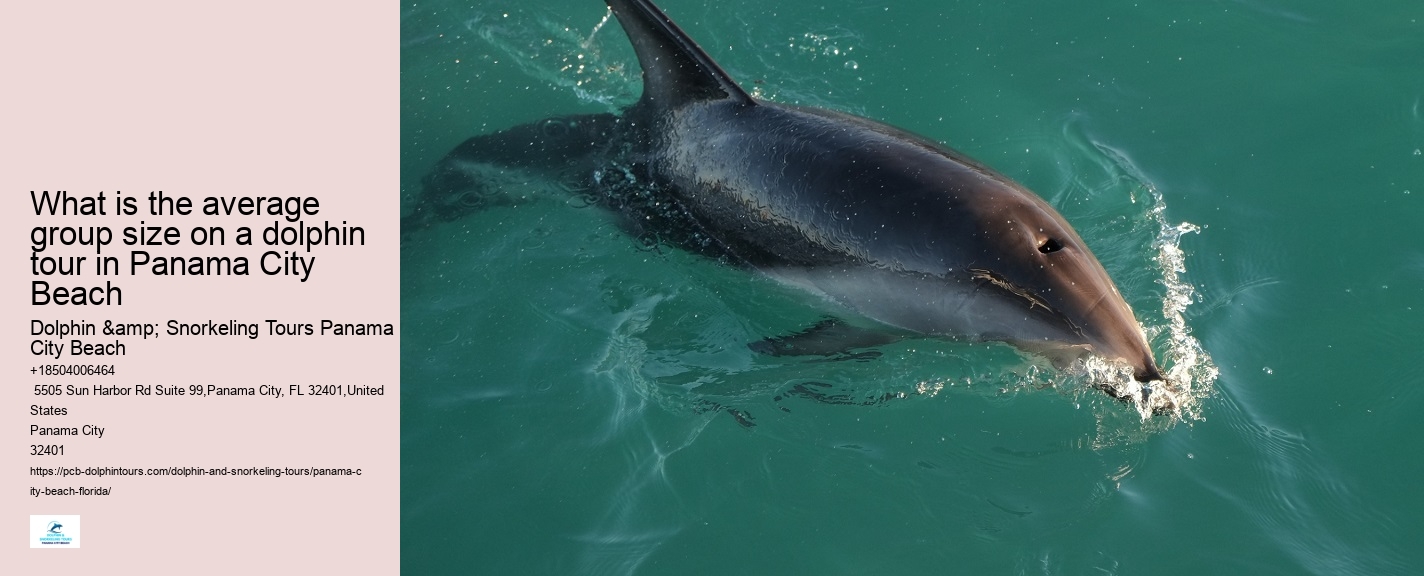 Panama City Beach Dolphin Boat Tour