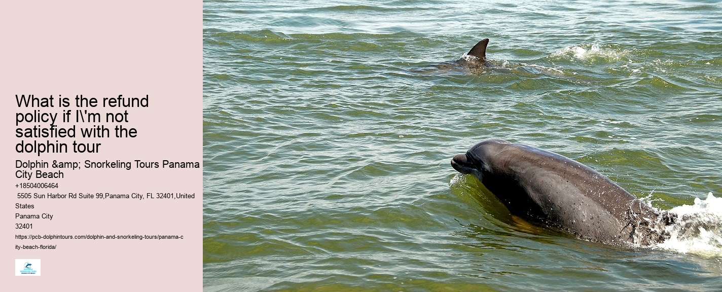 How Much Does It Cost To Swim With Dolphins In Panama City