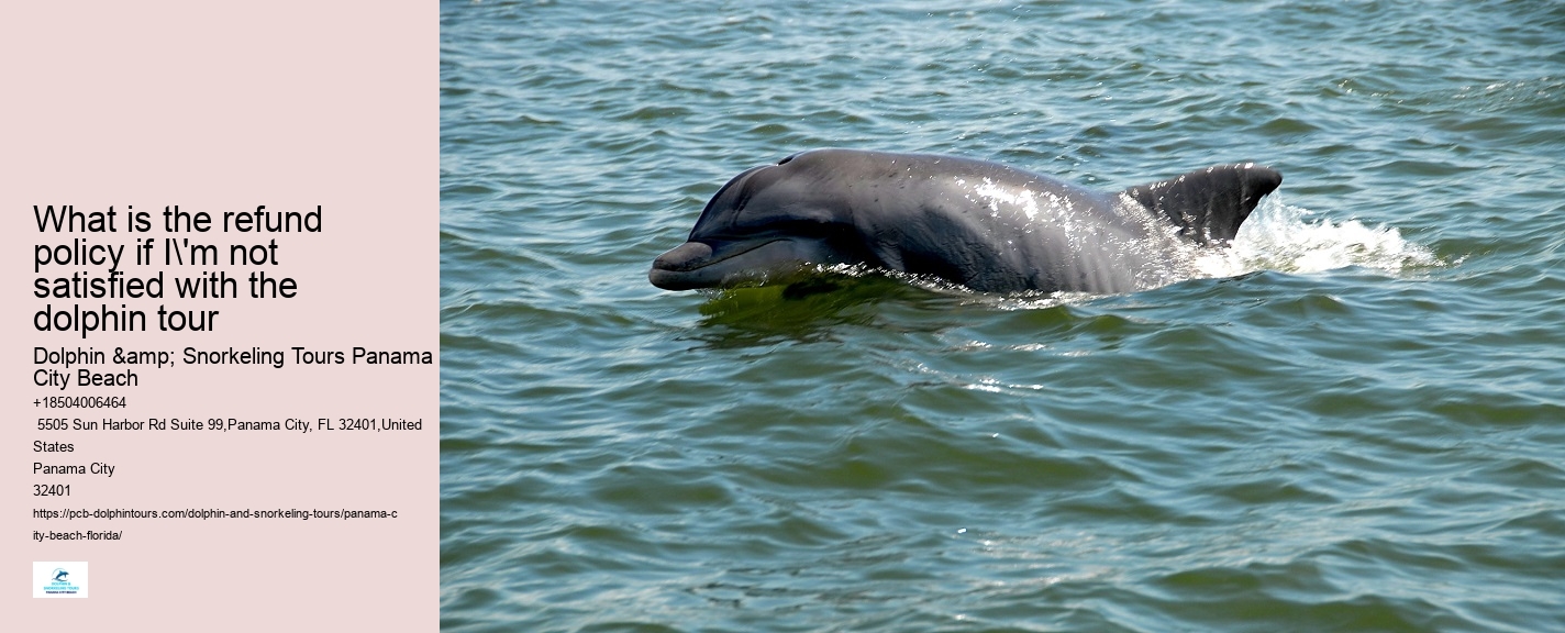 Dolphin Cruises