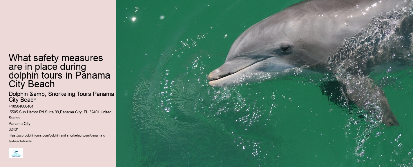 Dolphin Boat Tours Panama City Beach