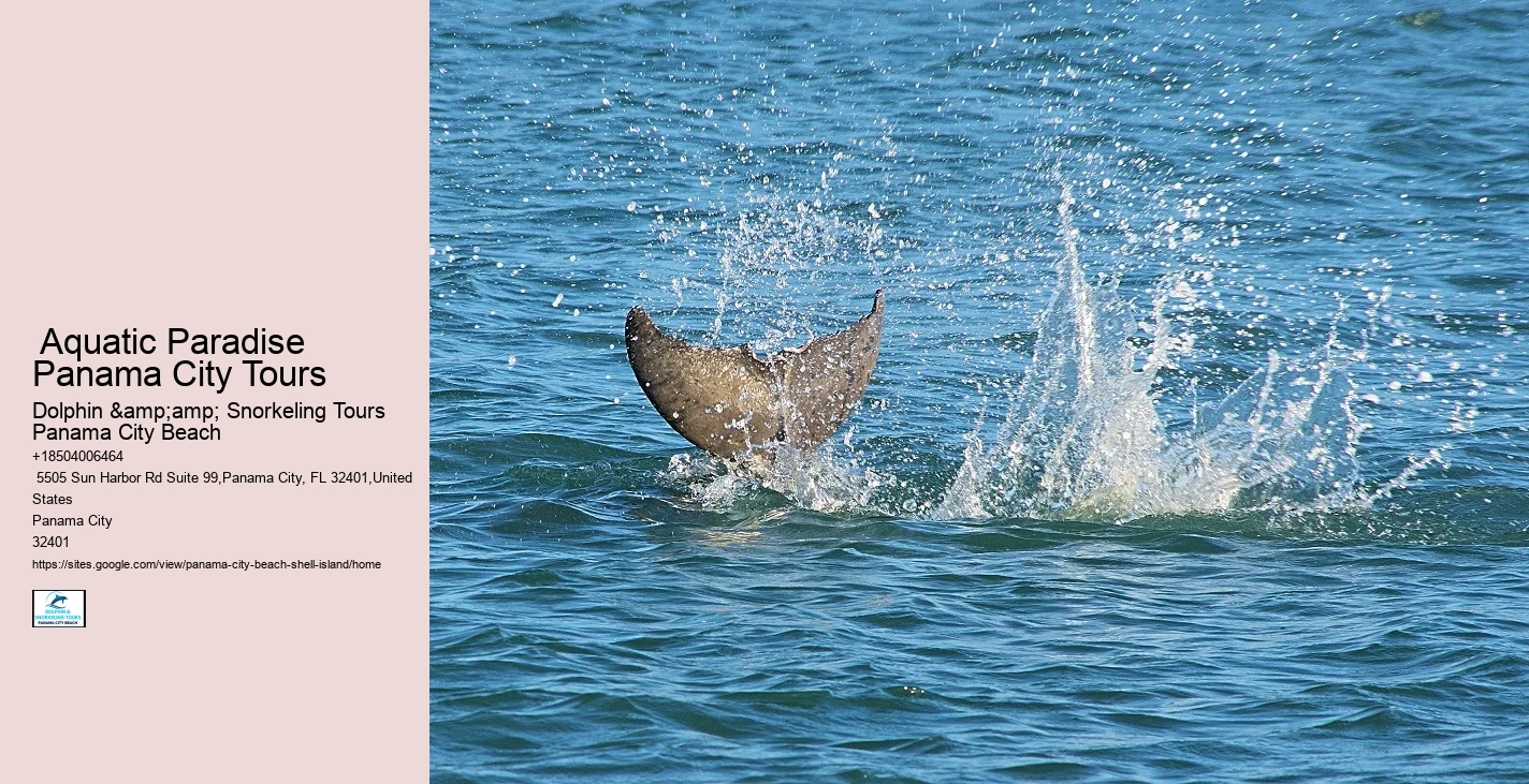 Panama City Pristine Shores Excursions