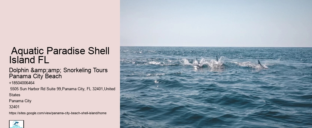  Shell Island Getaway