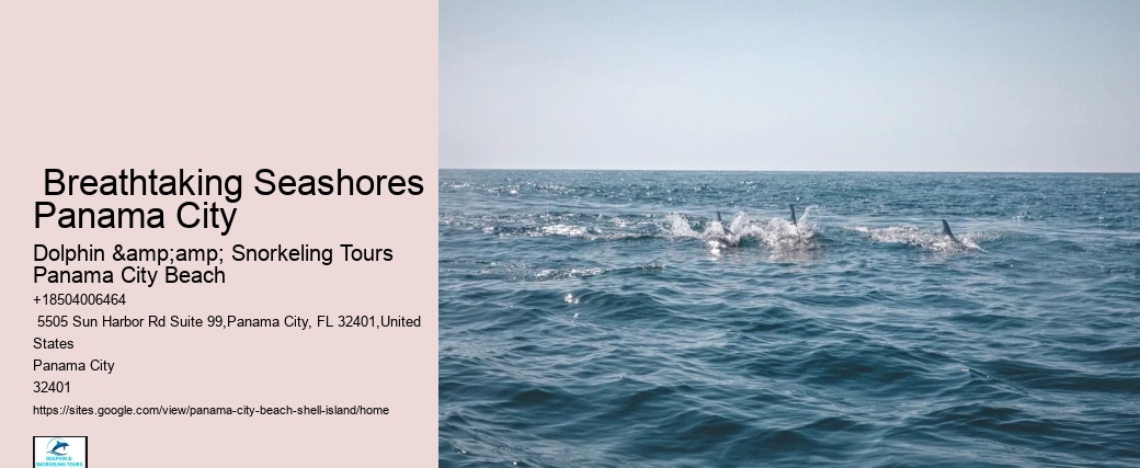  Tour Adventures