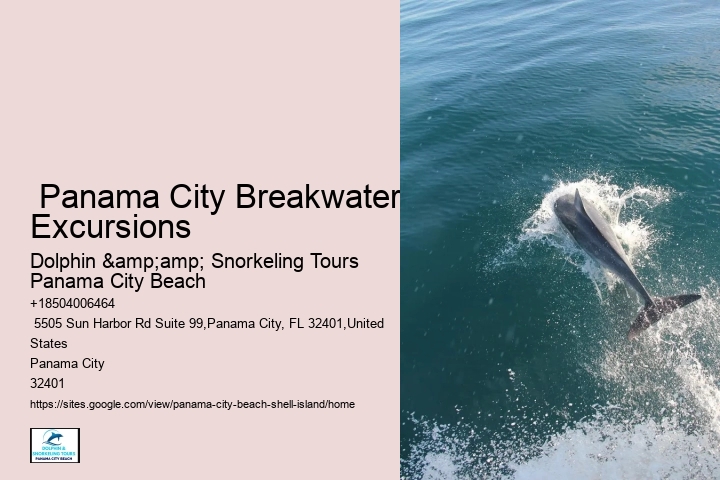  Shell Island Trips & Dolphin Tours