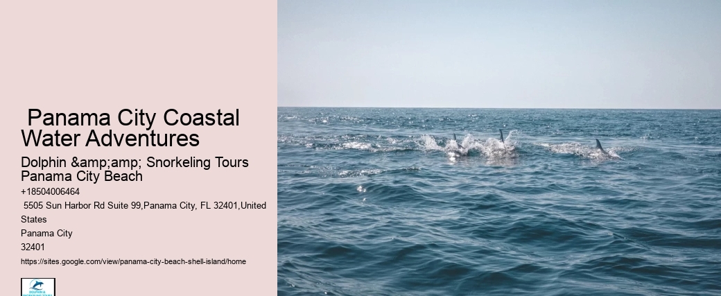  Best Shell Island Excursions Panama City Beach Florida