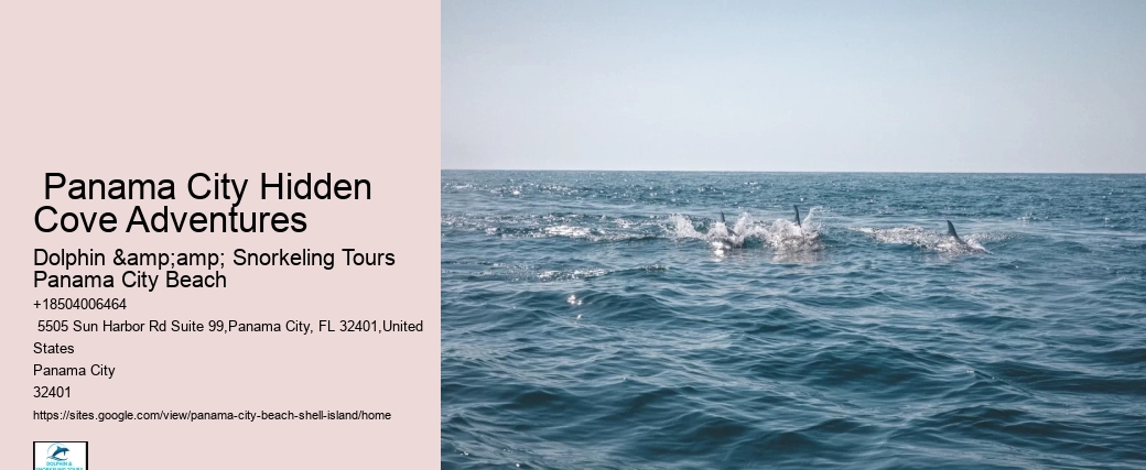  Dolphin Tour