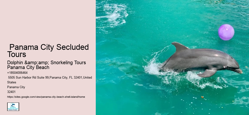  Tranquil Waterside Shell Island Adventures